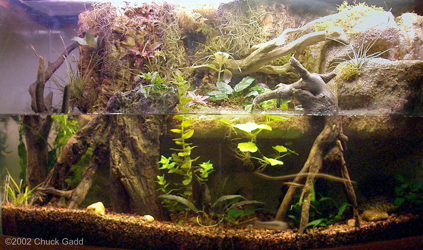 174L Paludarium Bowfront Paludarium