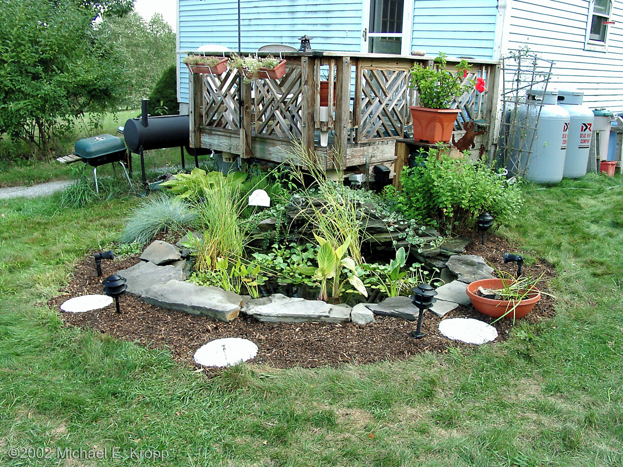 1323L Pond Backyard Water Garden