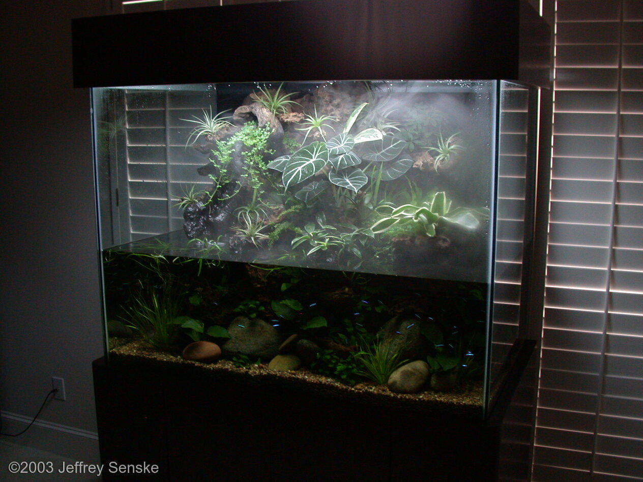 756L Paludarium Gazing Bedewed