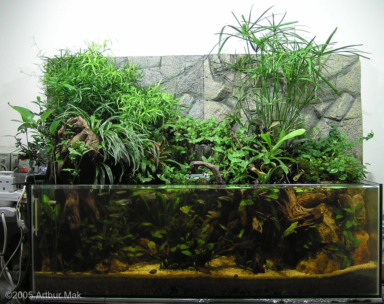 170L Paludarium Forest@Home