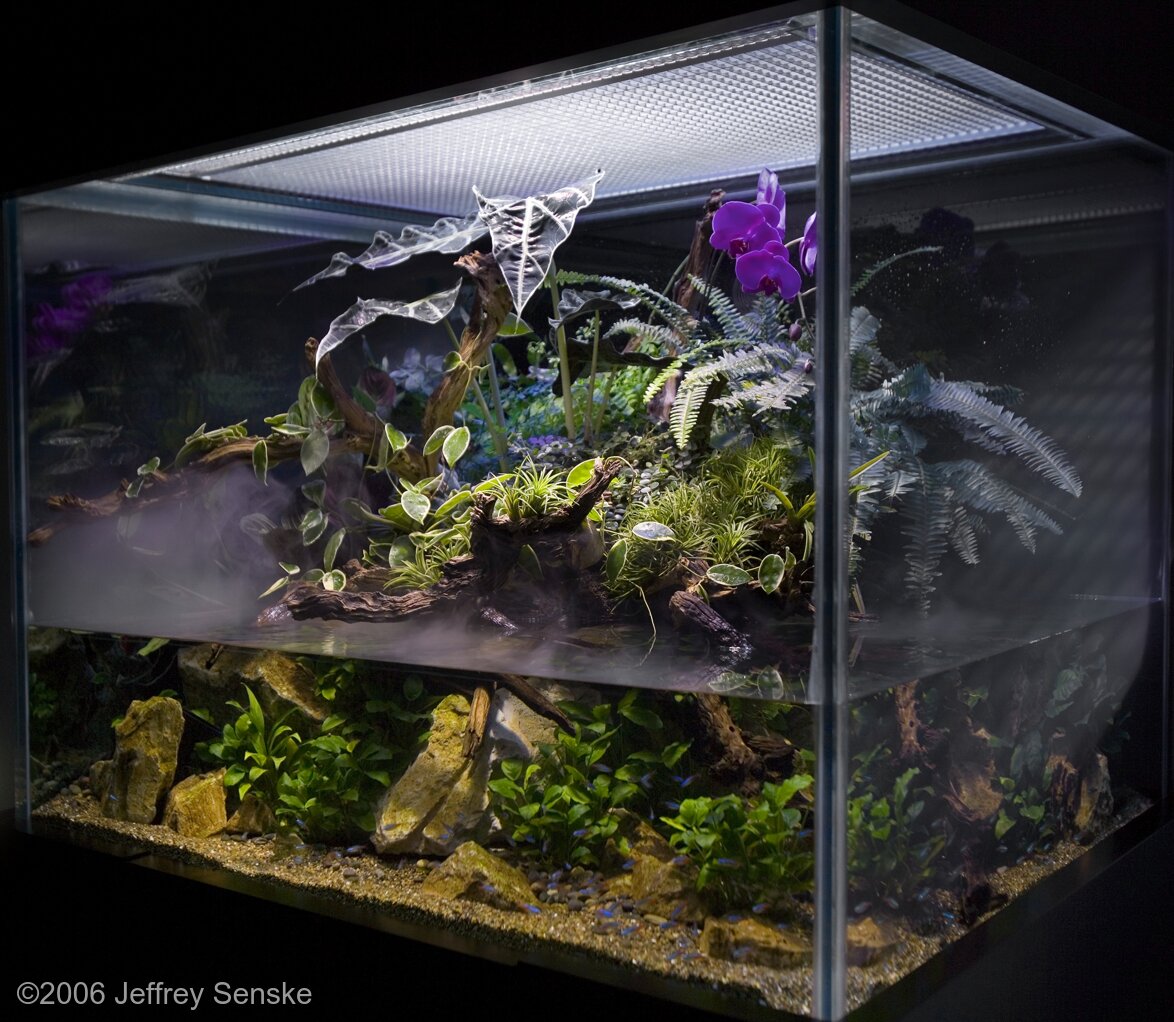 1021L Paludarium Incensia