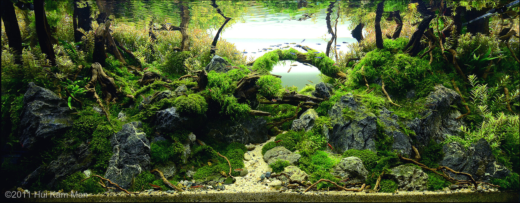 270L Aquatic Garden Alongside