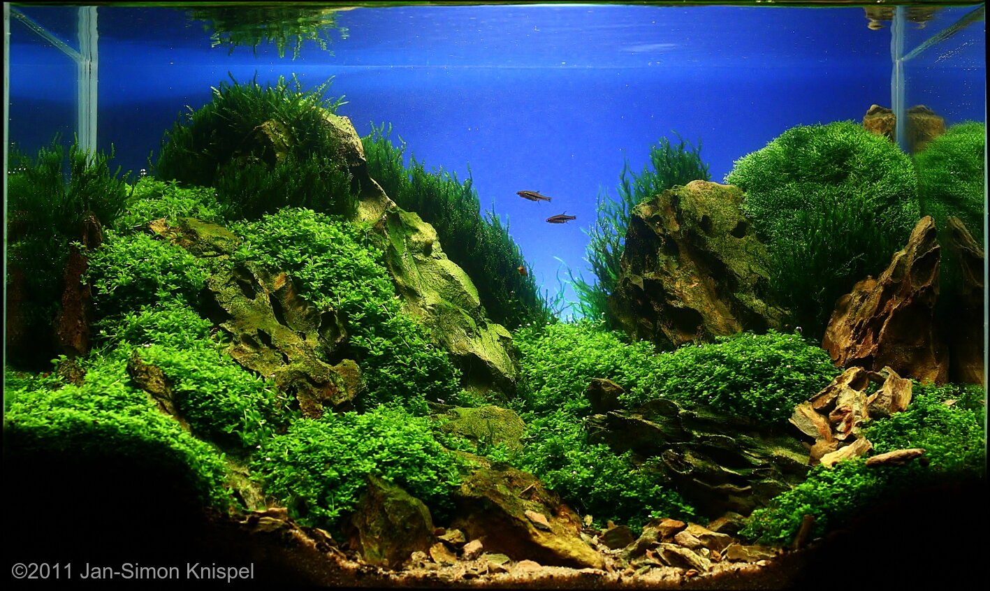 25L Aquatic Garden Rocks