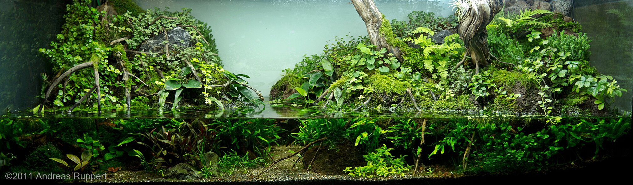 338L Paludarium Mother Nature