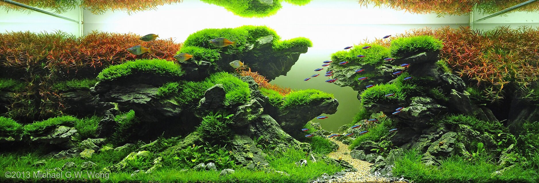 192L Aquatic Garden Intricate Balance
