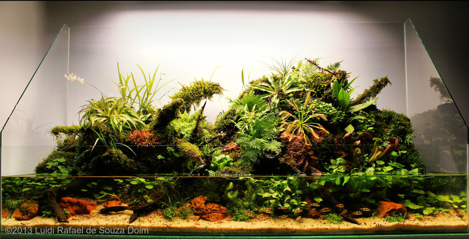 357L Paludarium Nature resting
