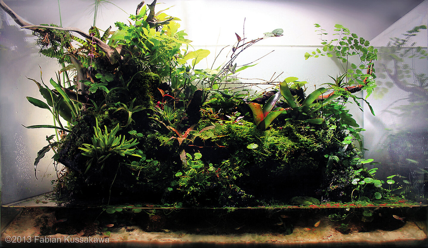98L Paludarium A Beira Rio do Paraná