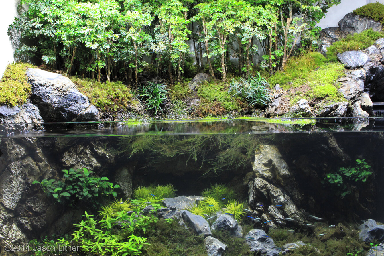 340L Paludarium Summers in Algonquin