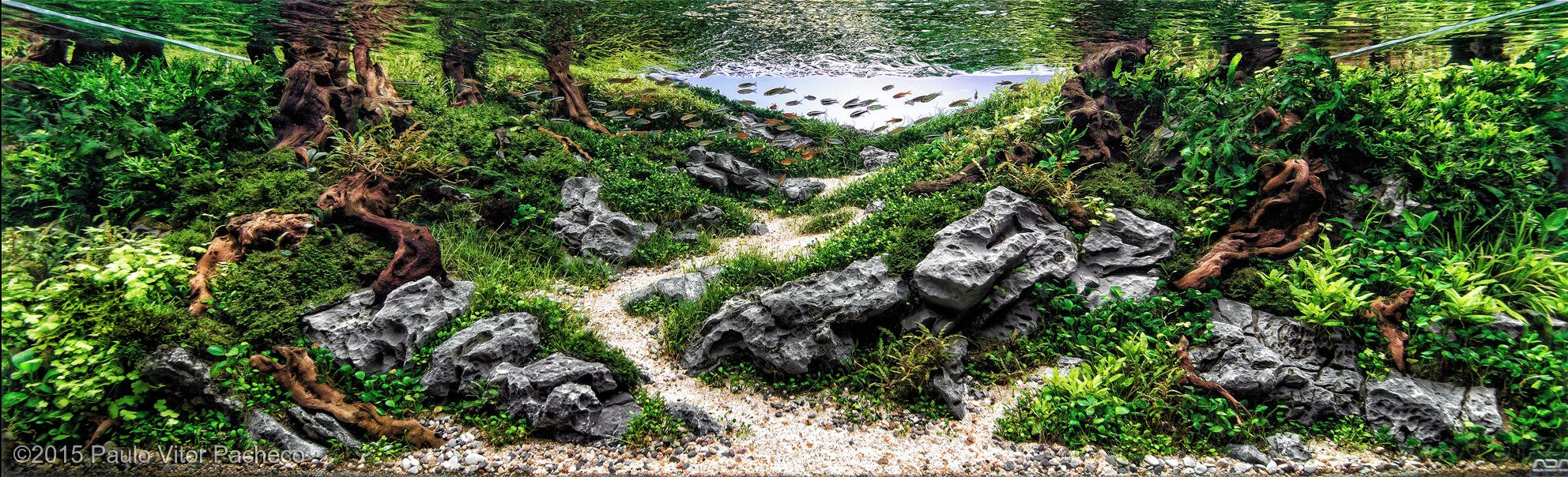 219L Aquatic Garden Deep Nature