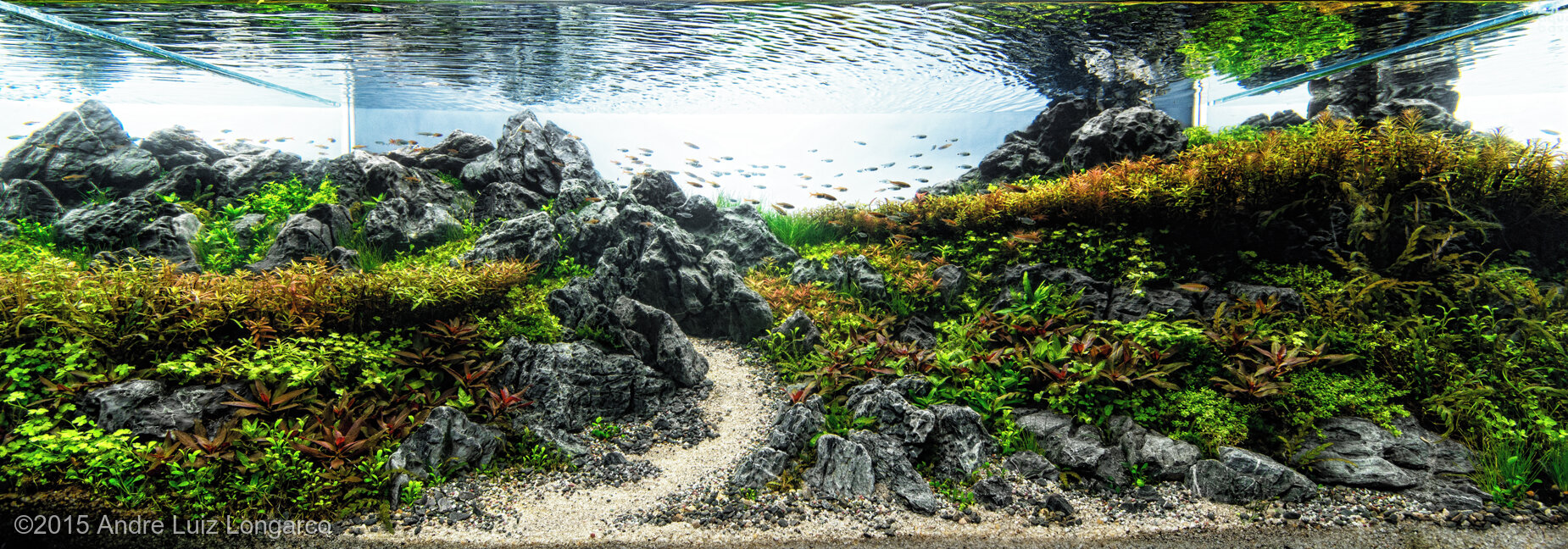 324L Aquatic Garden Faith