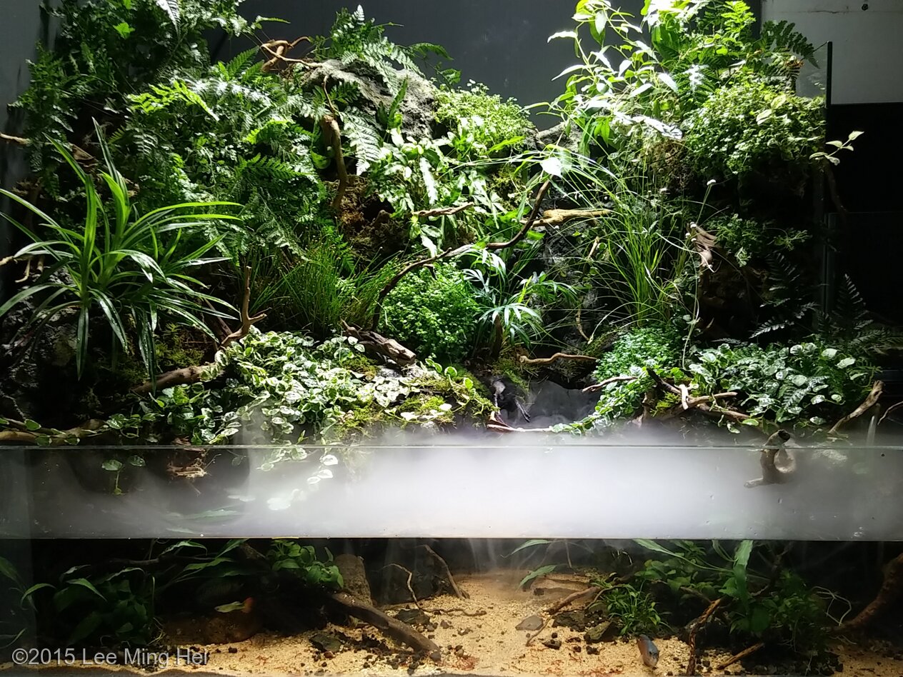 170L Paludarium Endless (生生不息)
