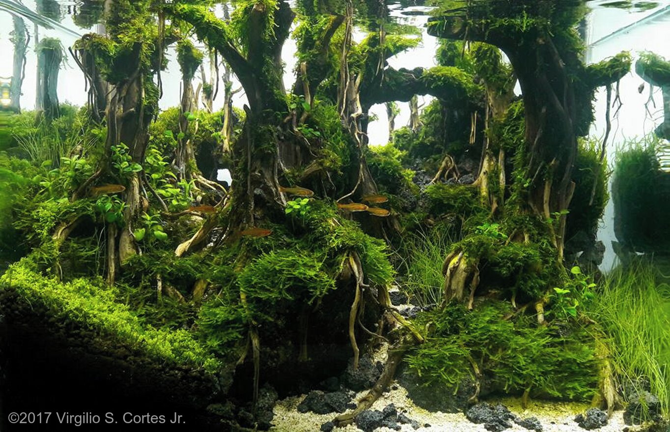 16L Aquatic Garden Deep Forest