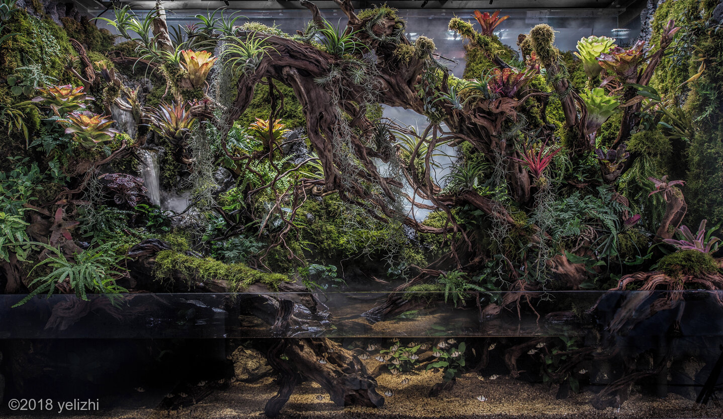 256L Paludarium a deep forest