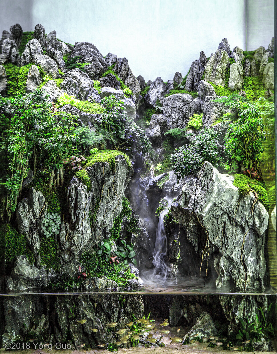 43L Paludarium The ink mountain