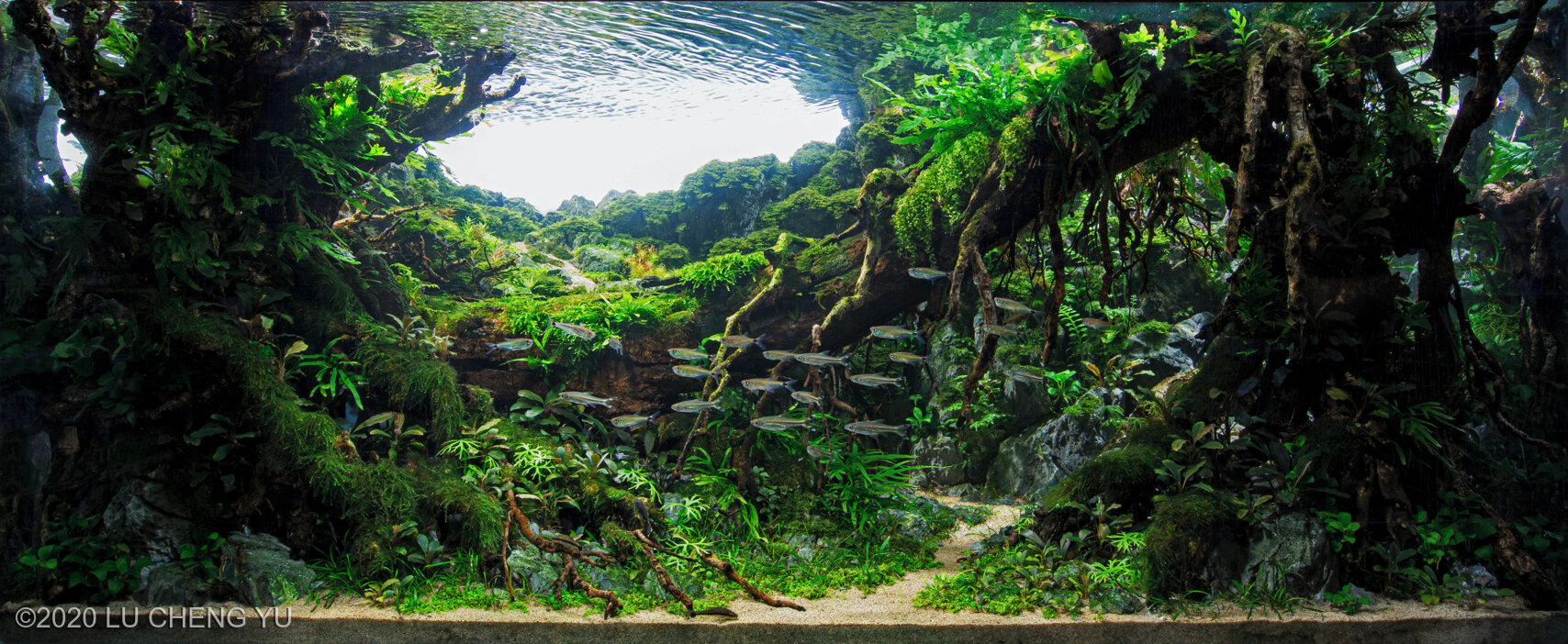 359L Aquatic Garden Traverse