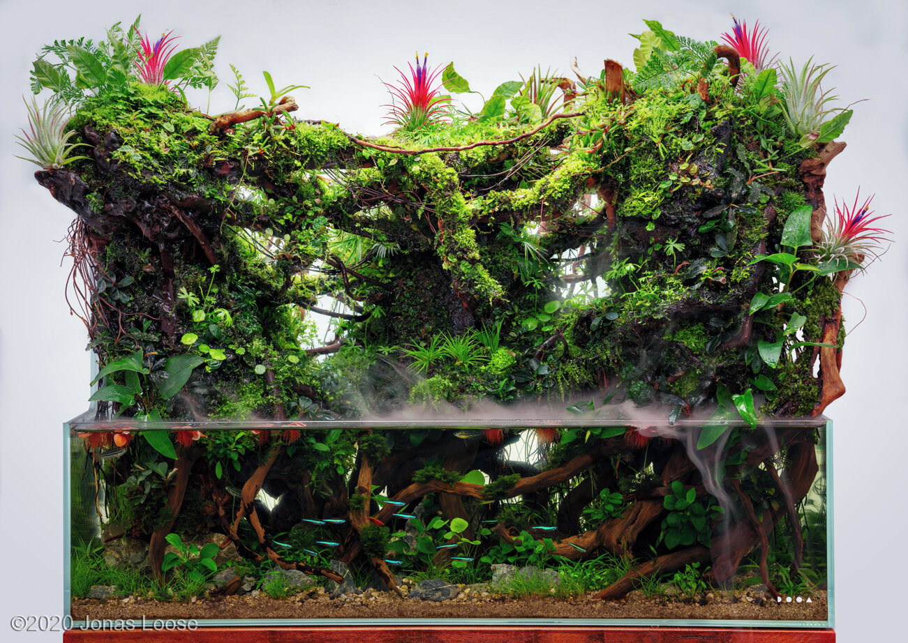 28L Paludarium The Three Old Trees