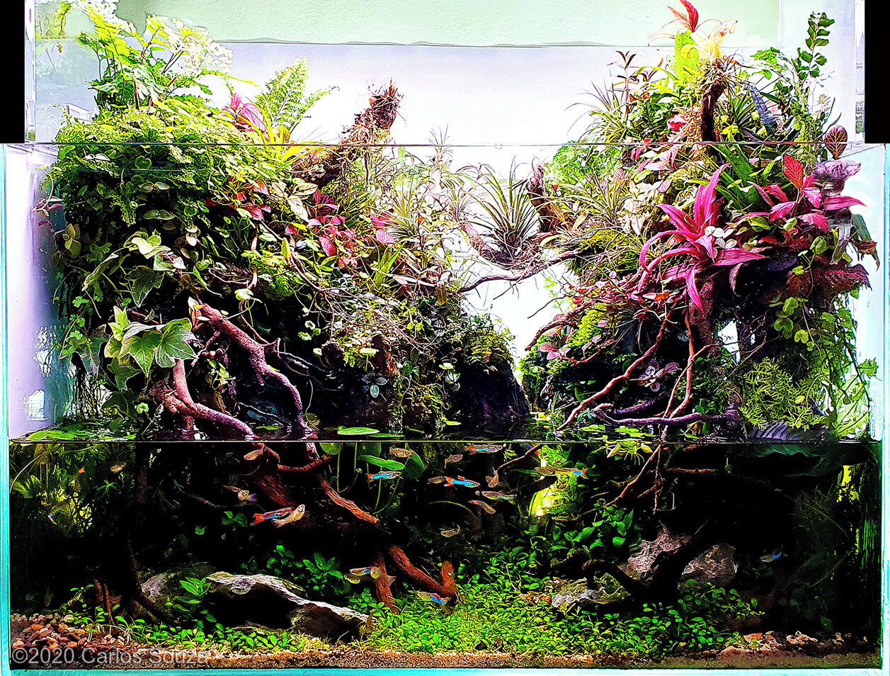 45L Paludarium Pantanal