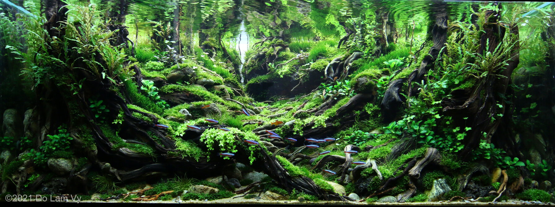 180L Aquatic Garden ALONG THE RIVER