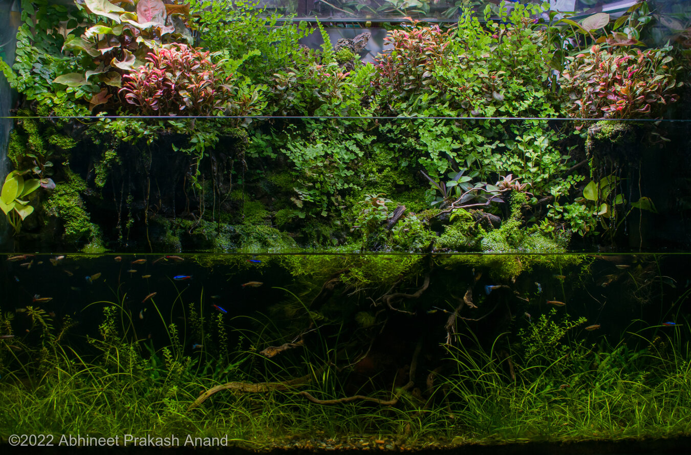 739.8L Paludarium The Roots Of Mother Nature