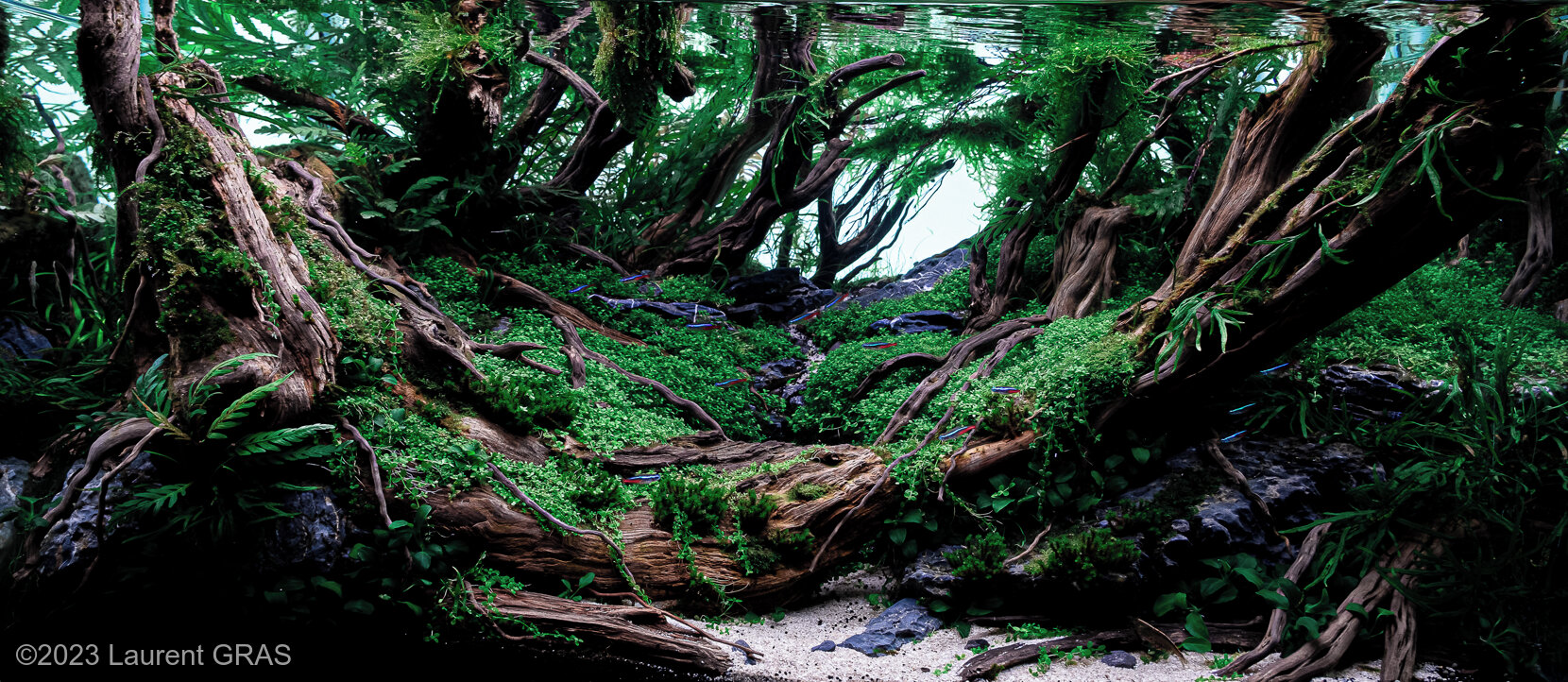 182.2L Aquatic Garden Roots & Stones