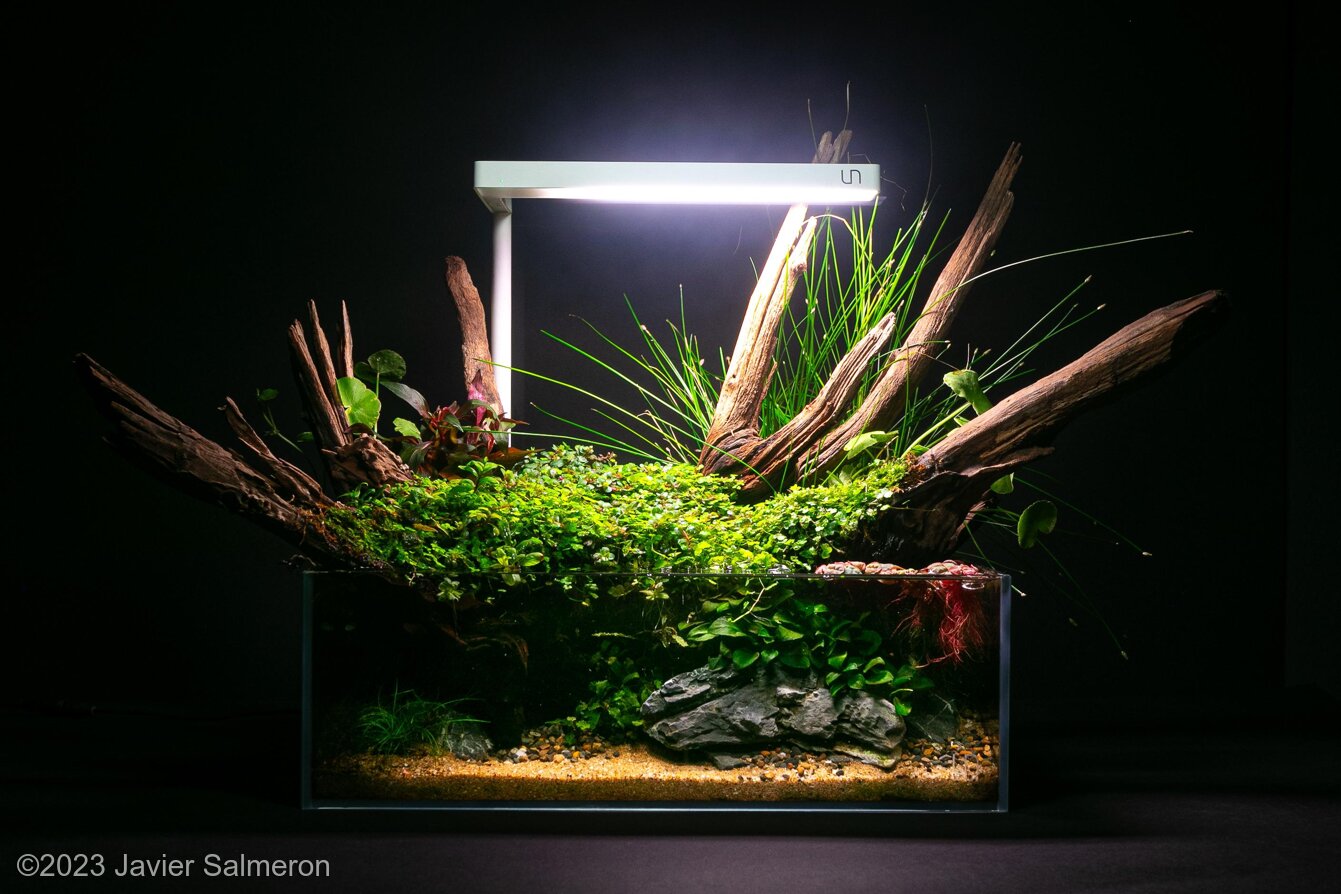 10L Riparium Supra Viridis