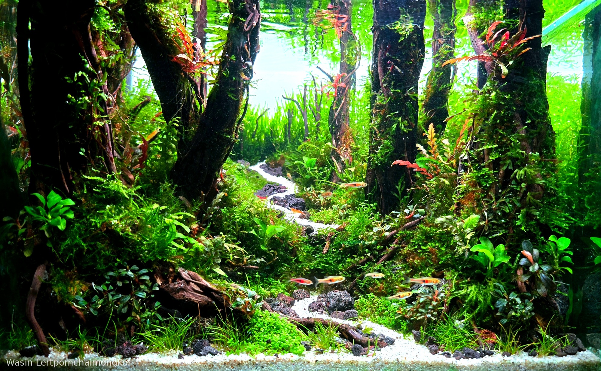Green Path