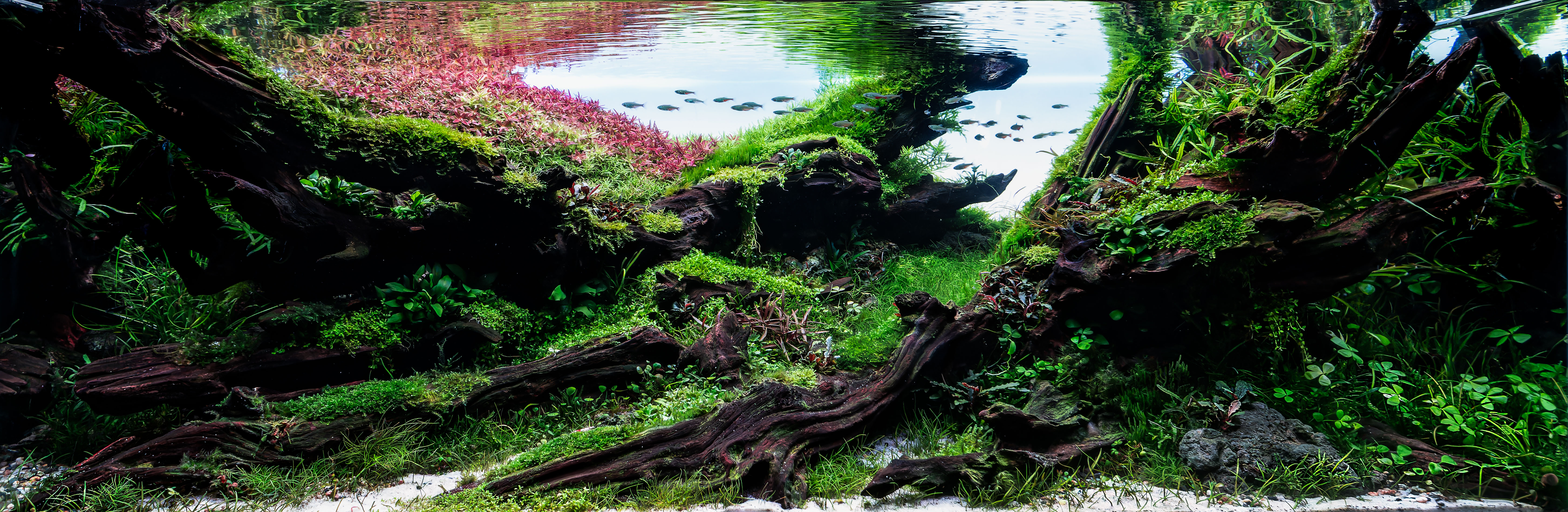 Flow of Nature