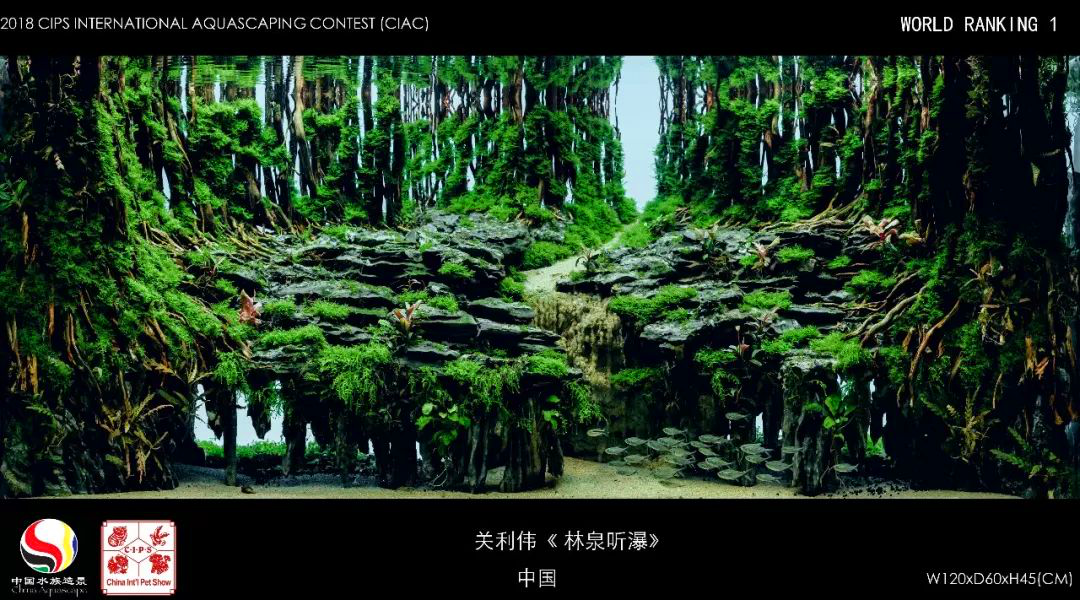大缸组 Top 01