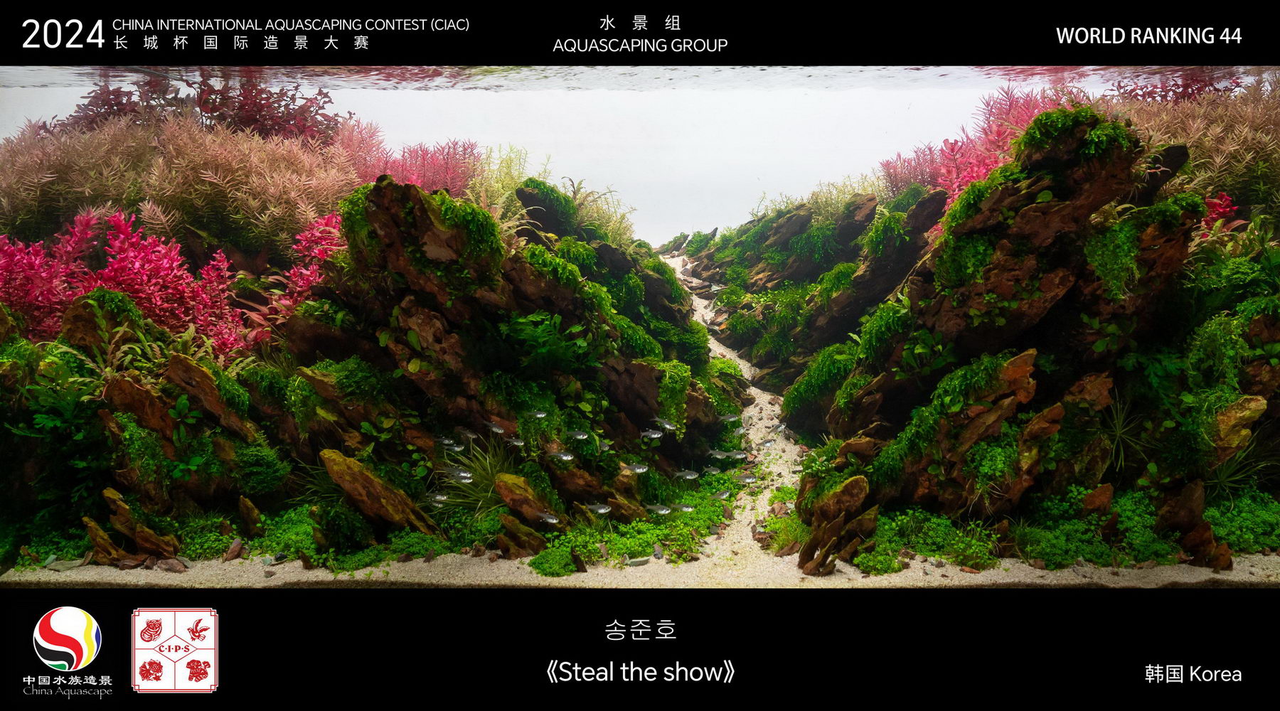 水景组 Top 44