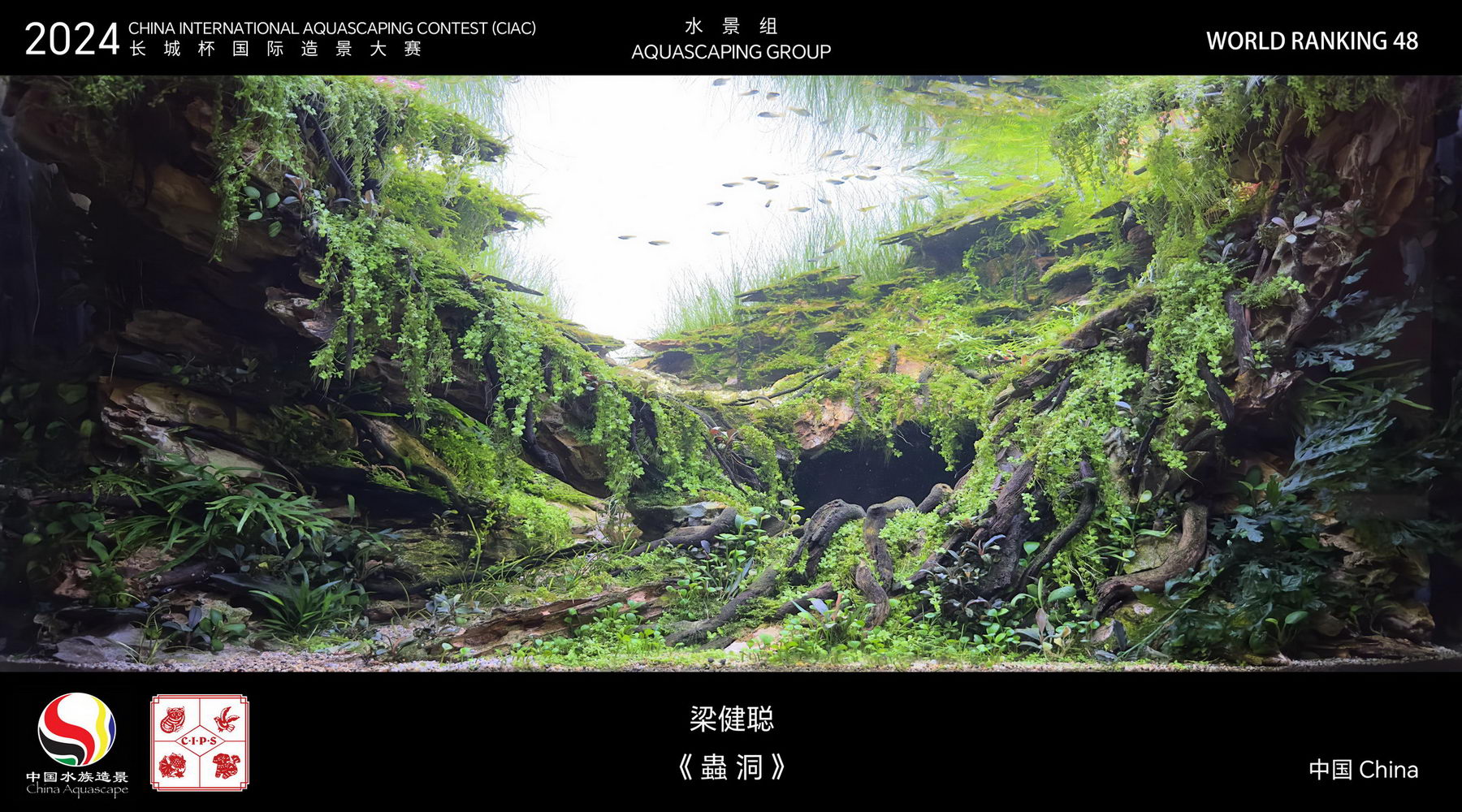 水景组 Top 48