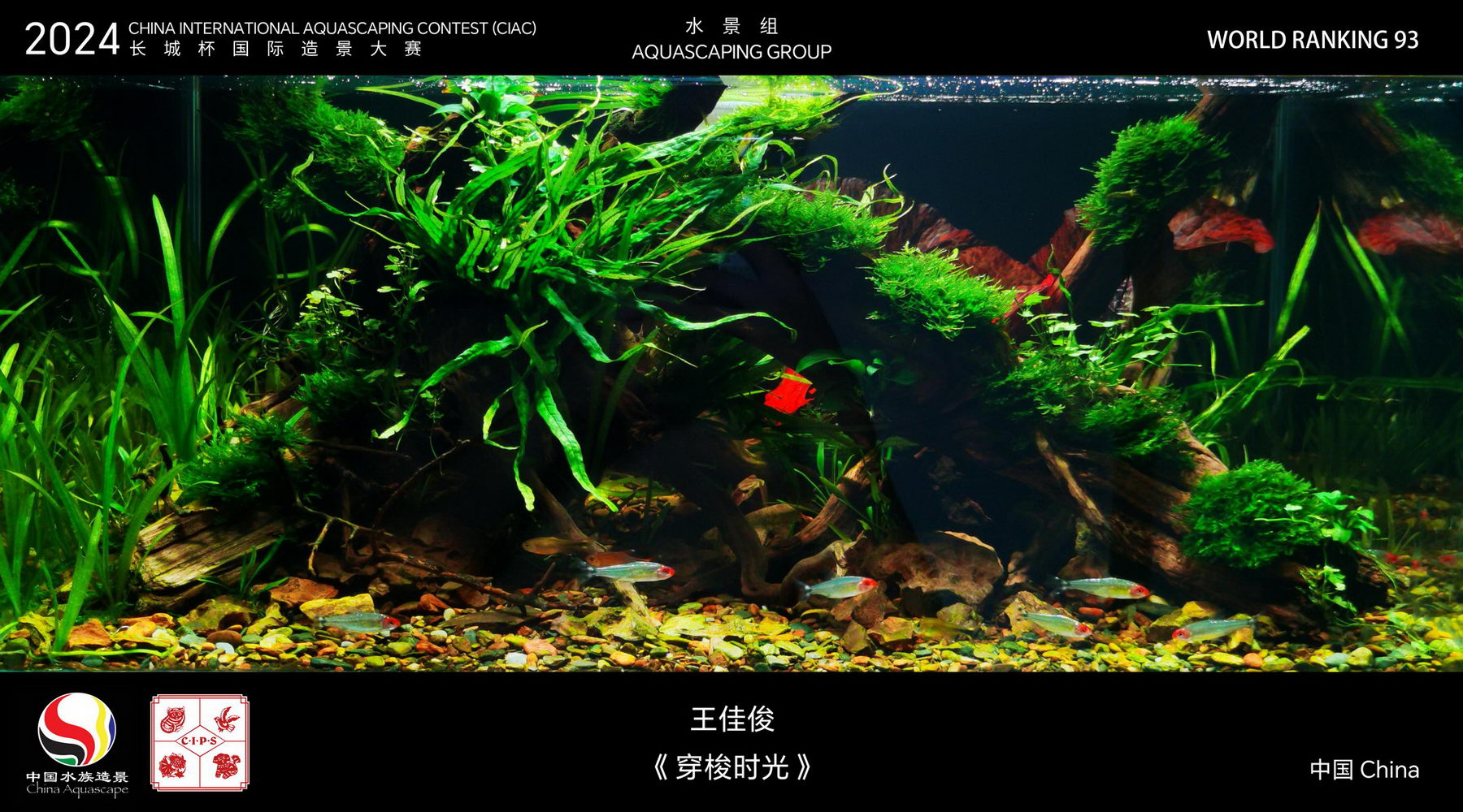 水景组 Top 93
