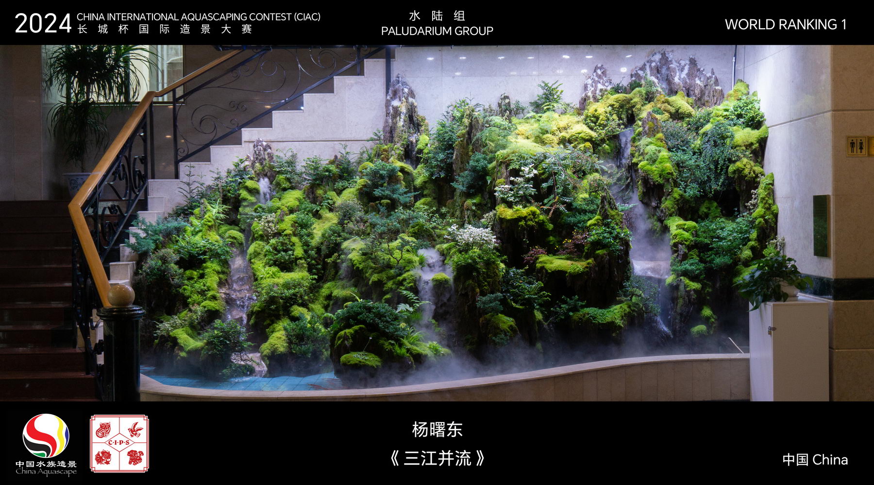 水陆组 Top 01