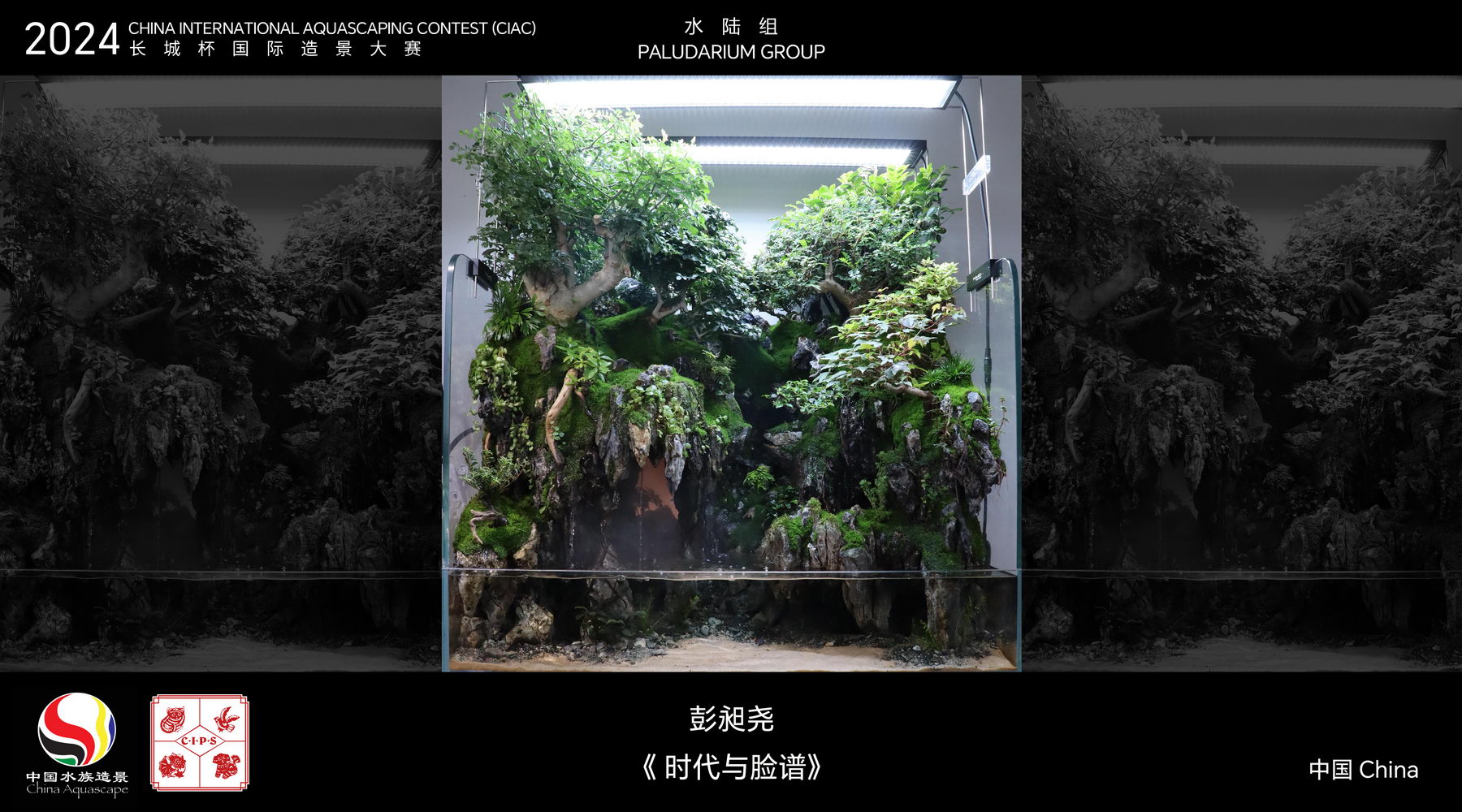 水陆组 Top 02