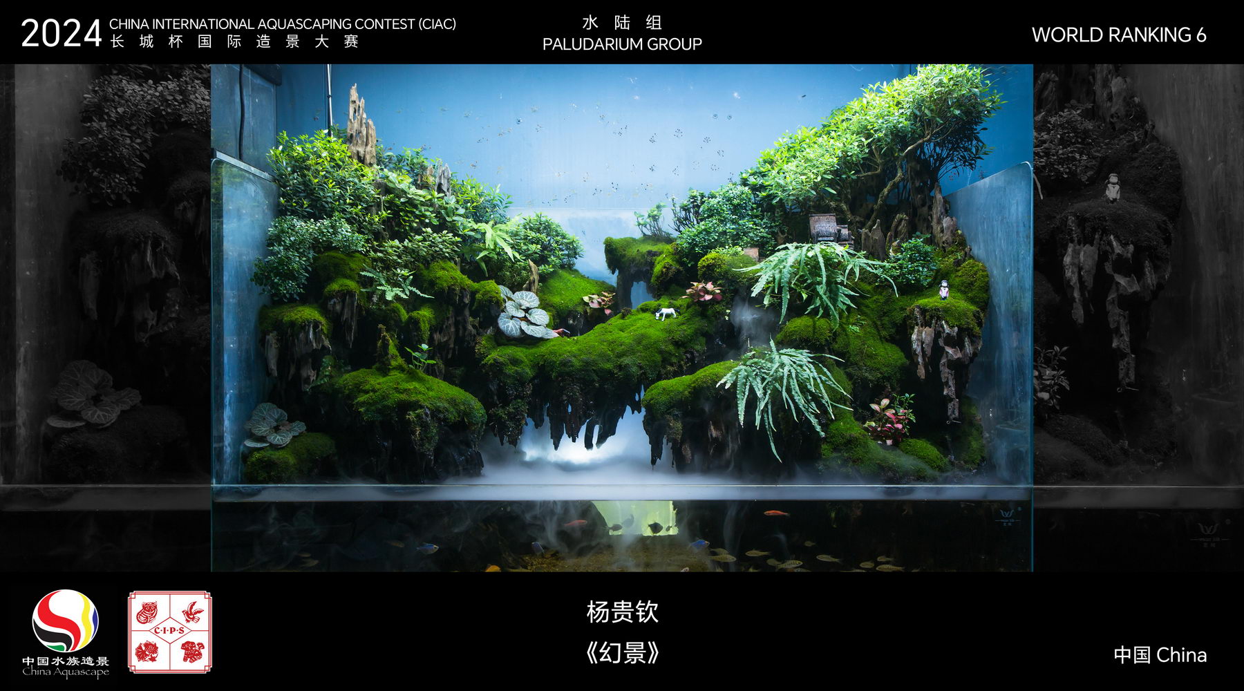 水陆组 Top 06
