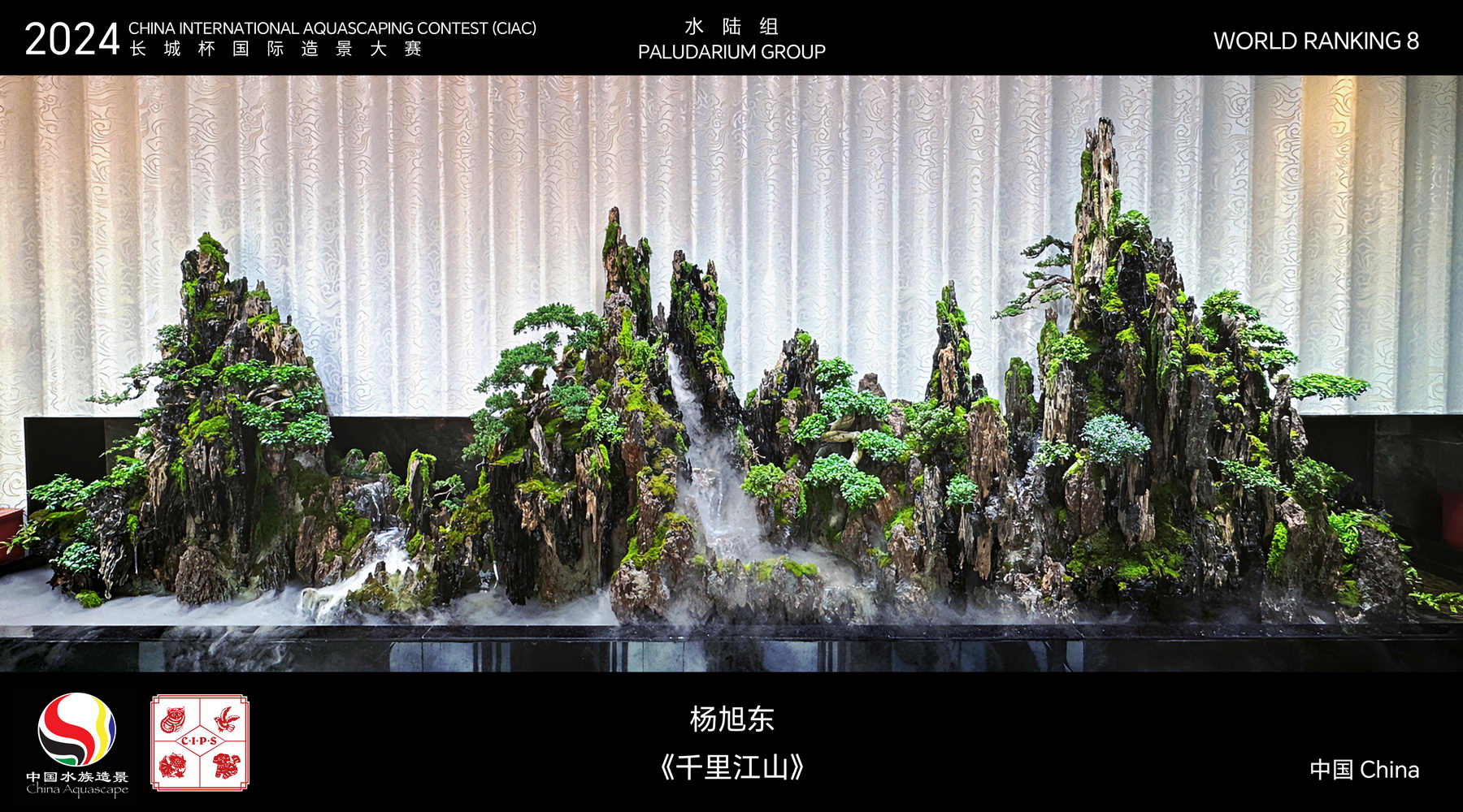 水陆组 Top 08