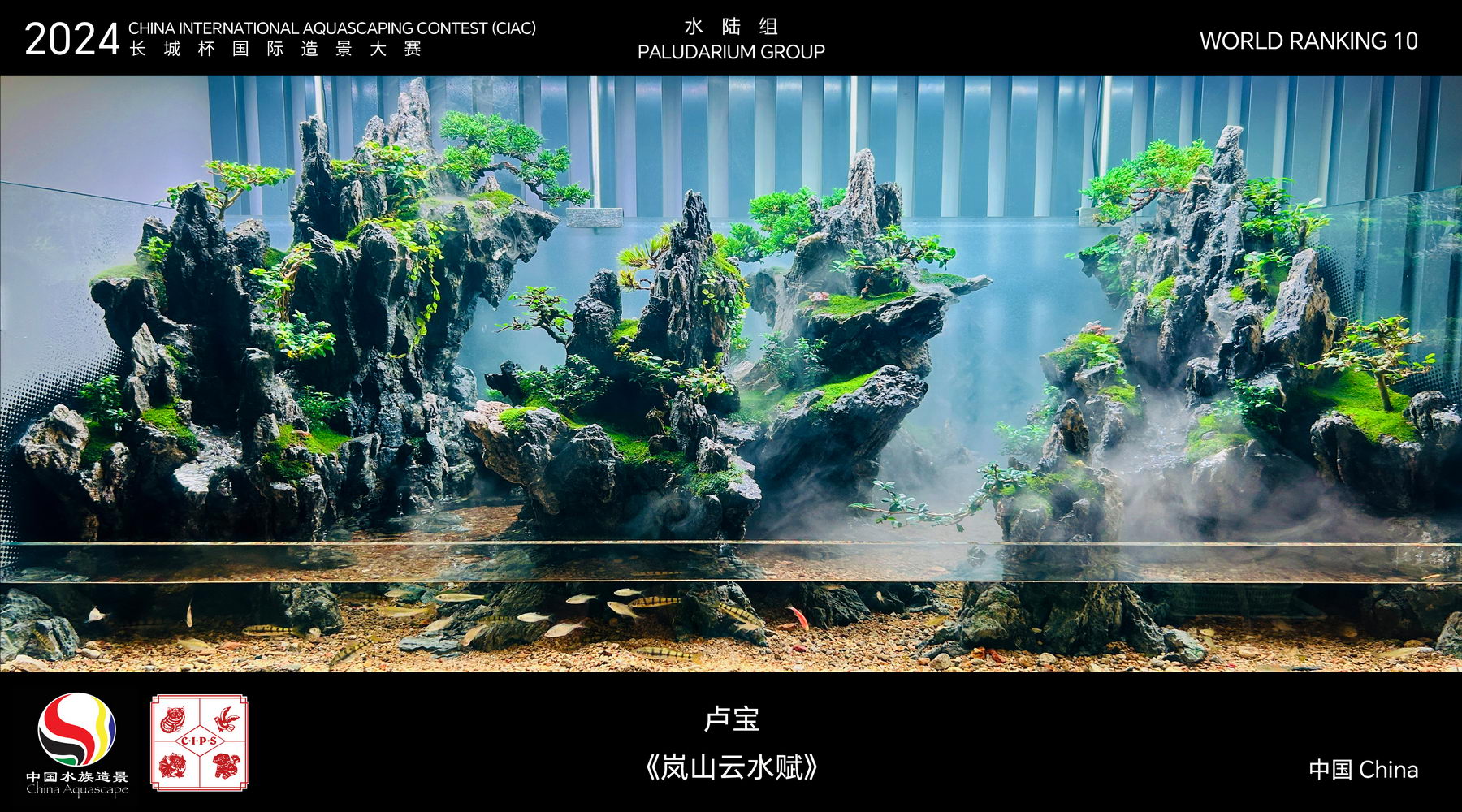 水陆组 Top 10