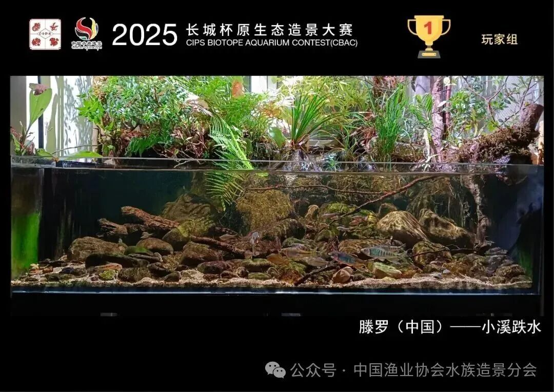 小溪跌水