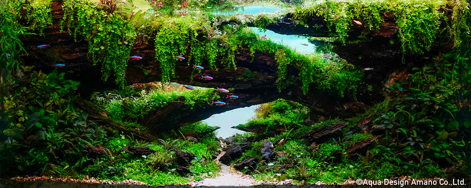 Rennier Katigbak Philippines