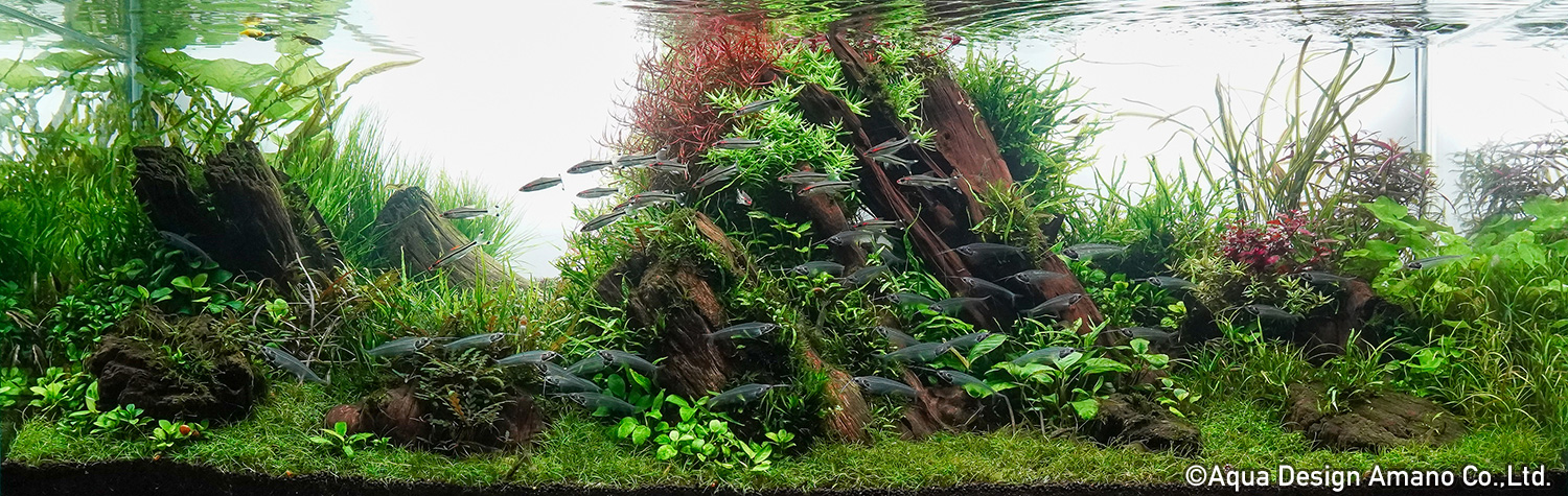 PRAPAS LAMPHUOC Vietnam
