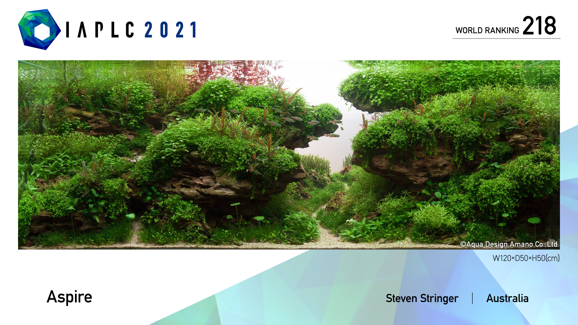 Steven Stringer Australia