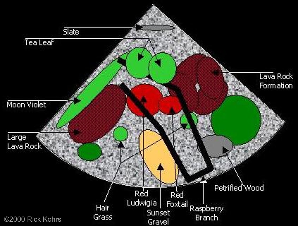 Graphic showing layout of rocks and artificial 植物