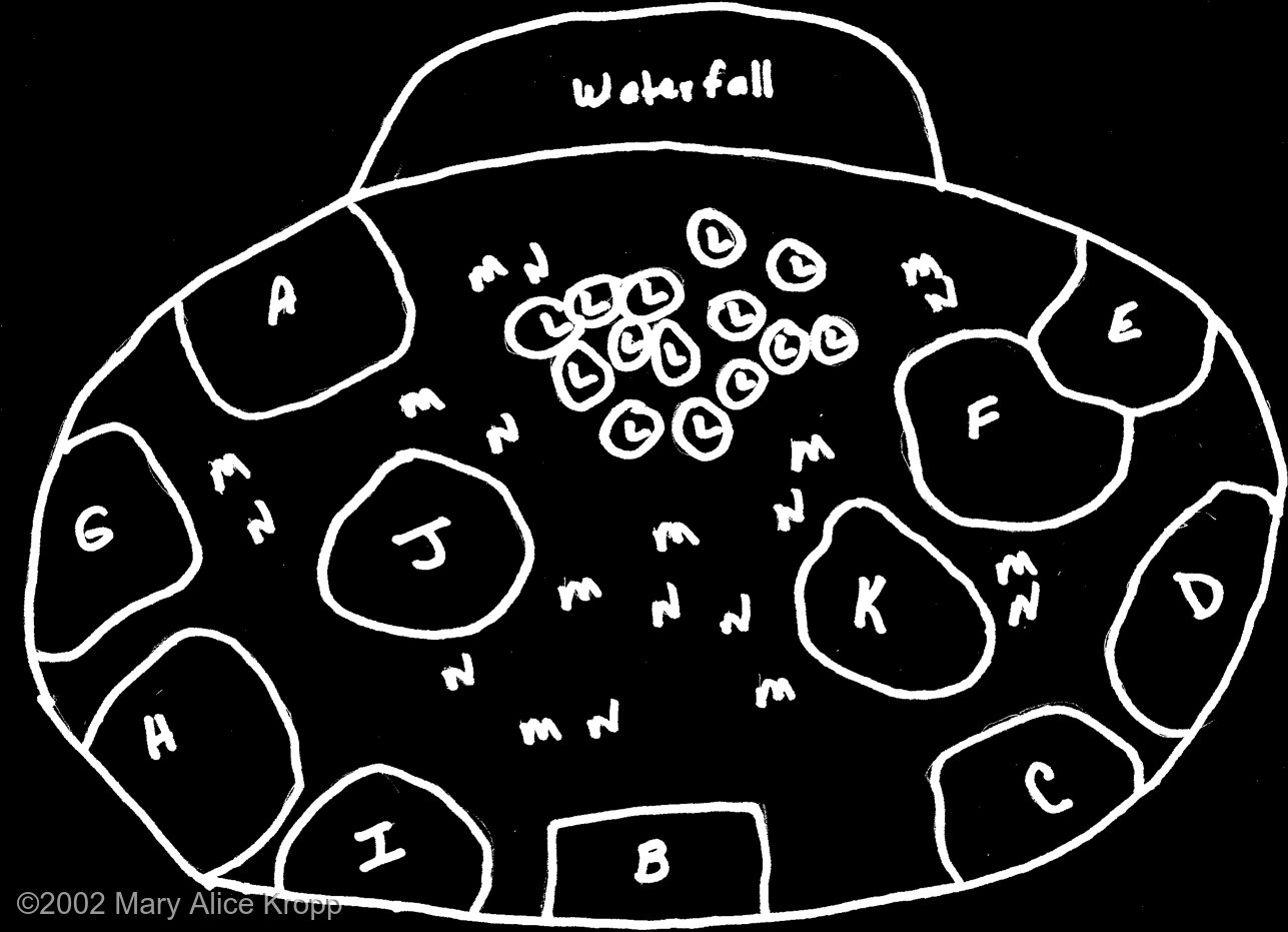 5'x7' Pond Planting Plan Key

Deep water (18" from surface)
J- Tropical lily
K- Banana lily
M- Hornwort
N- Anacharis
Mid water (12" from surface)
F- Common reed
Shallow water (6" or less from surface)
A- Miniature Cattail
B- Canna 'Scarlet Tiger'
C- Common Calla
D- Pennywort
E- Striped reed
G- Water plantain
H- Water clover
I- Pickerel rush
Floating 植物:
L- Water hyacinth
