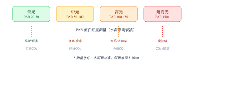 图：PAR 等级与对应水草类型