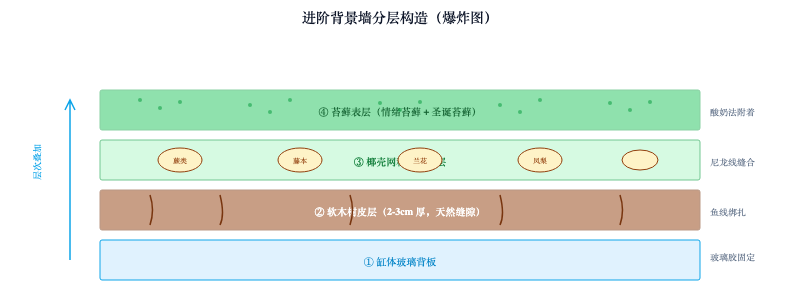 雨林缸进阶：苔藓附生与喷雾系统搭建