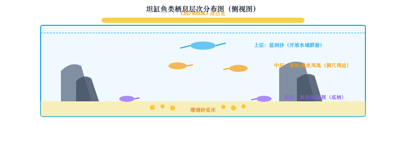 坦噶尼喀湖生态还原：岩石缸开缸教程