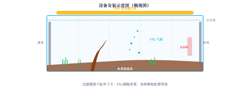 从零开始：60cm 水草缸开缸全攻略