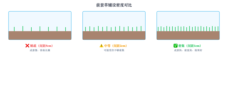 水草缸进阶造景：前景草铺设与光影艺术
