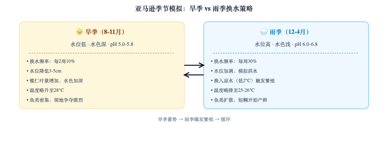 南美缸生态进阶：枯叶层与灯鱼群落设计