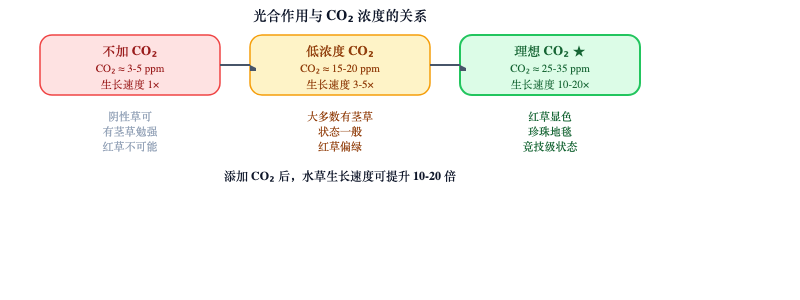 图：不同 CO₂ 浓度对水草生长的影响