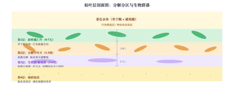 南美缸生态进阶：枯叶层与灯鱼群落设计